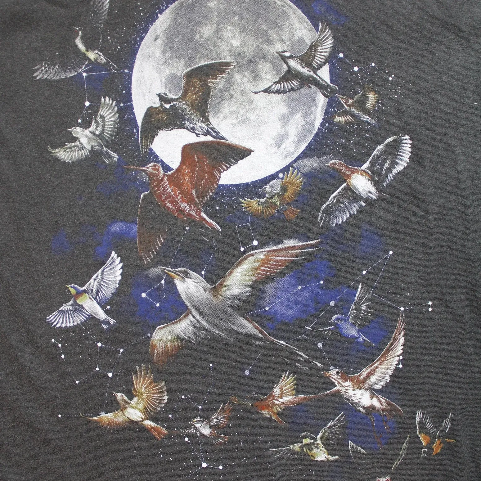 Bird Collective Night Migration Vintage T-Shirt