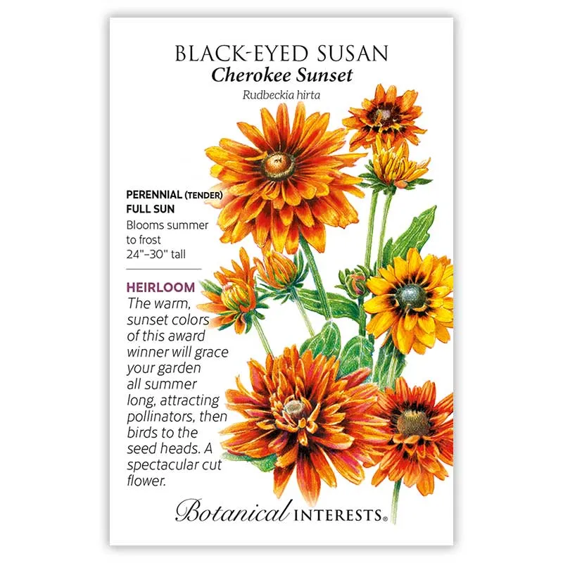 Cherokee Sunset Black-Eyed Susan Seeds